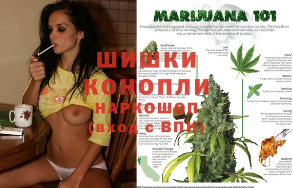кокс Алзамай