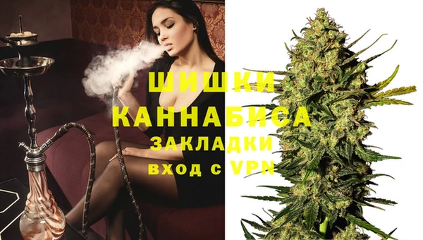 шишки Алексеевка