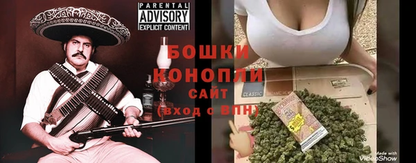 шишки Алексеевка