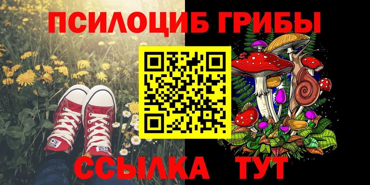 Псилоцибиновые грибы Magic Shrooms Керчь